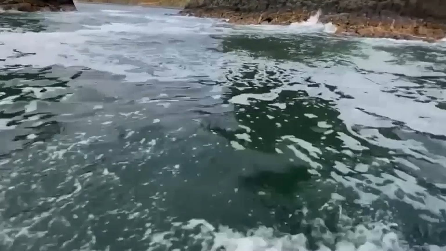 Acque tutt'altro che limpide sulla penisola della Kamchatka. 