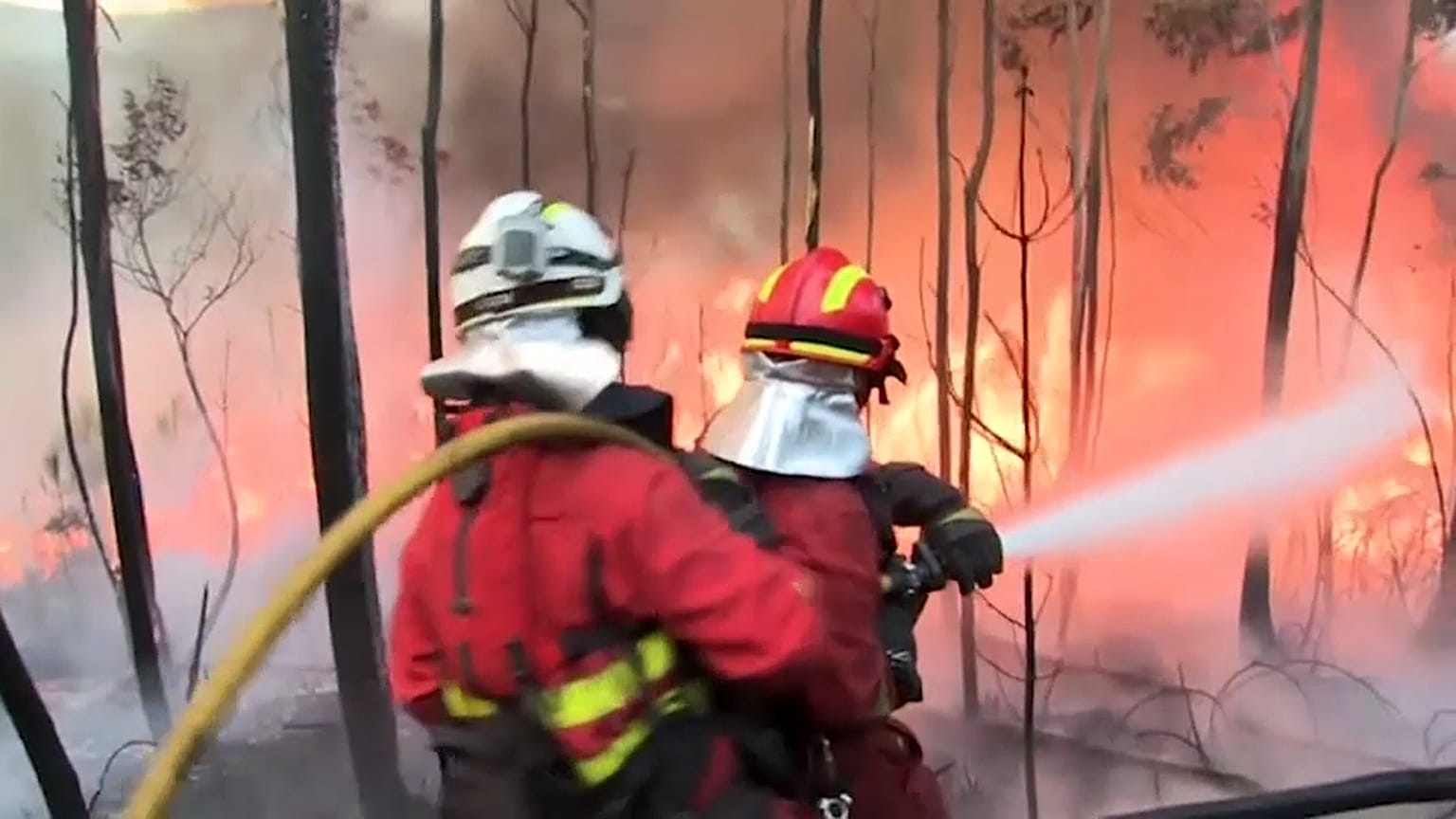 firefighters