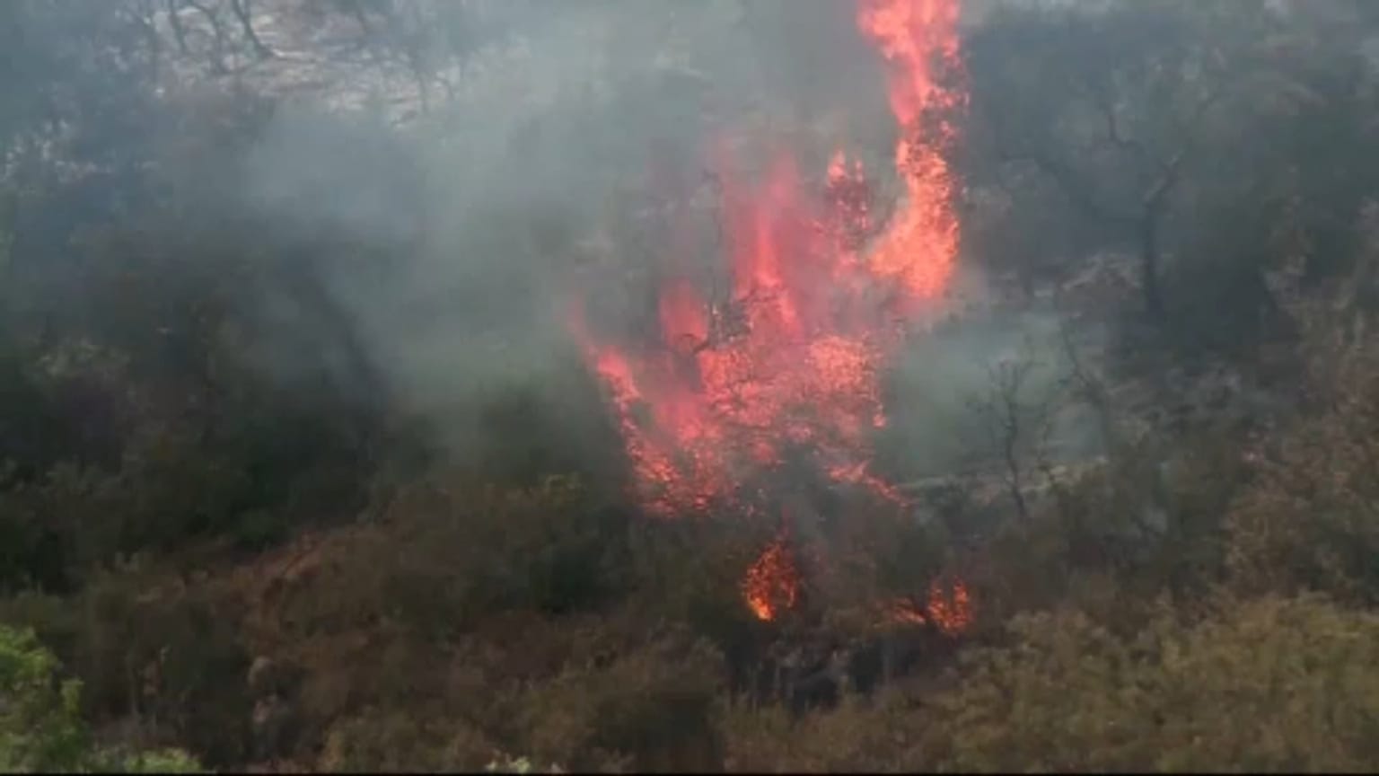 Fires 