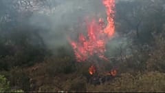 Fires 