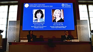 Le nom des lauréates du prix Nobel de chimie 2020 après leur annonce par l'académie royale des sciences de Suède, à Stockholm le 7 octobre 2020.