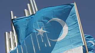 Doğu Türkistan bayrağı