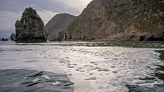 У Халактырского пляжа на Камчатке