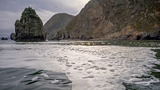 Initial findings from the Investigative Committee indicated that the water had been contaminated by "Industrial oils".