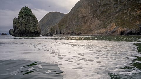 Initial findings from the Investigative Committee indicated that the water had been contaminated by "Industrial oils".