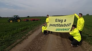 A Greenpeace aktivistái tüntettek a biogazdaság megmaradásáért