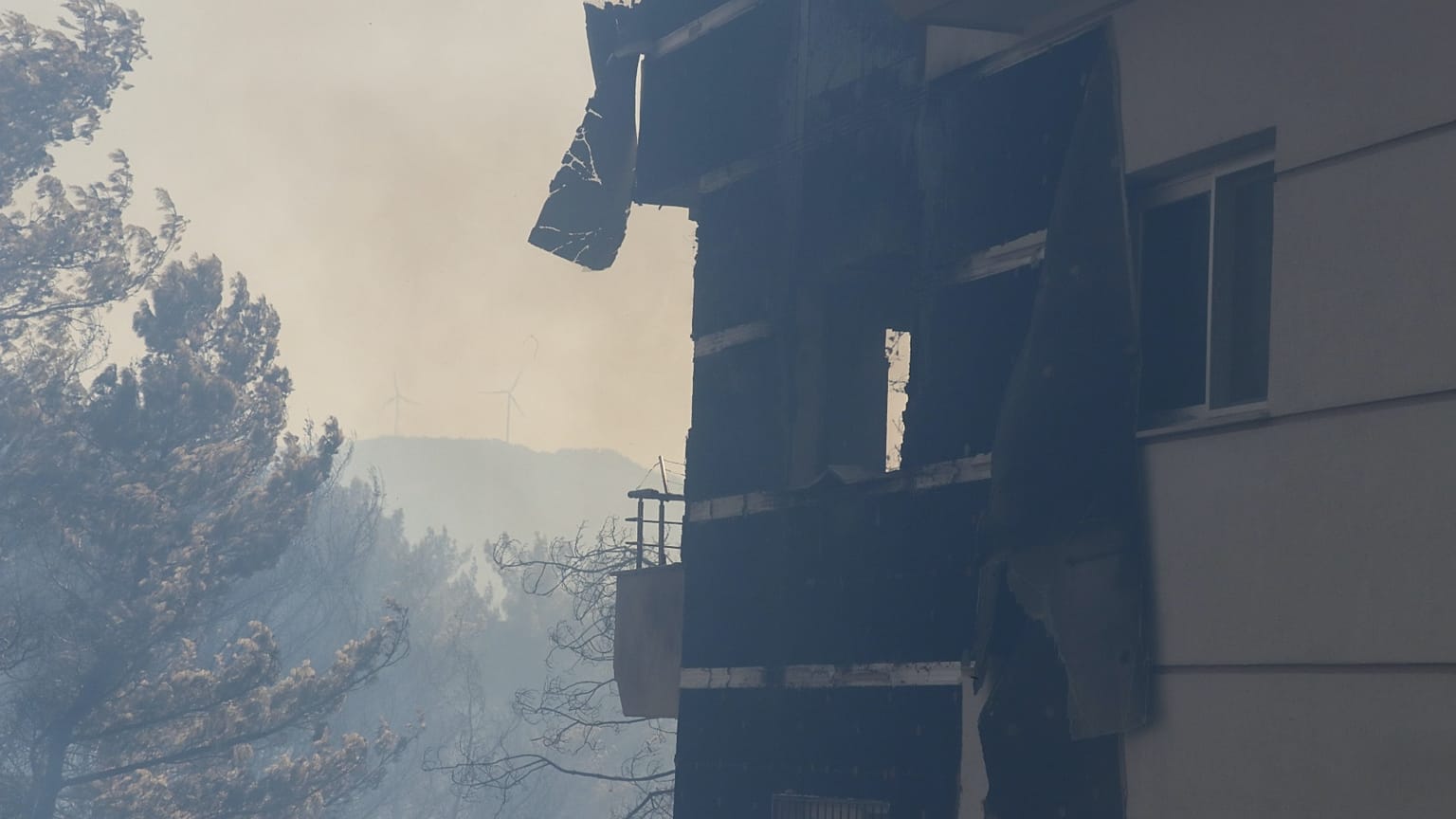 Hatay'da orman yangını