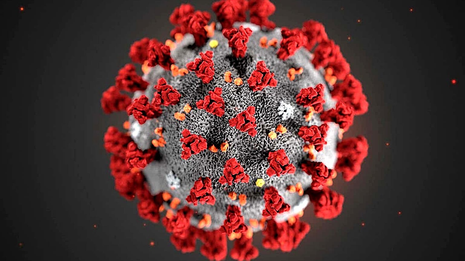 Das Coronavirus. 