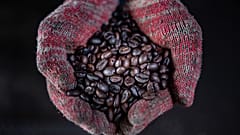 Wood fire roasted coffee beans at the Antong Coffee Factory in Taiping, Malaysia