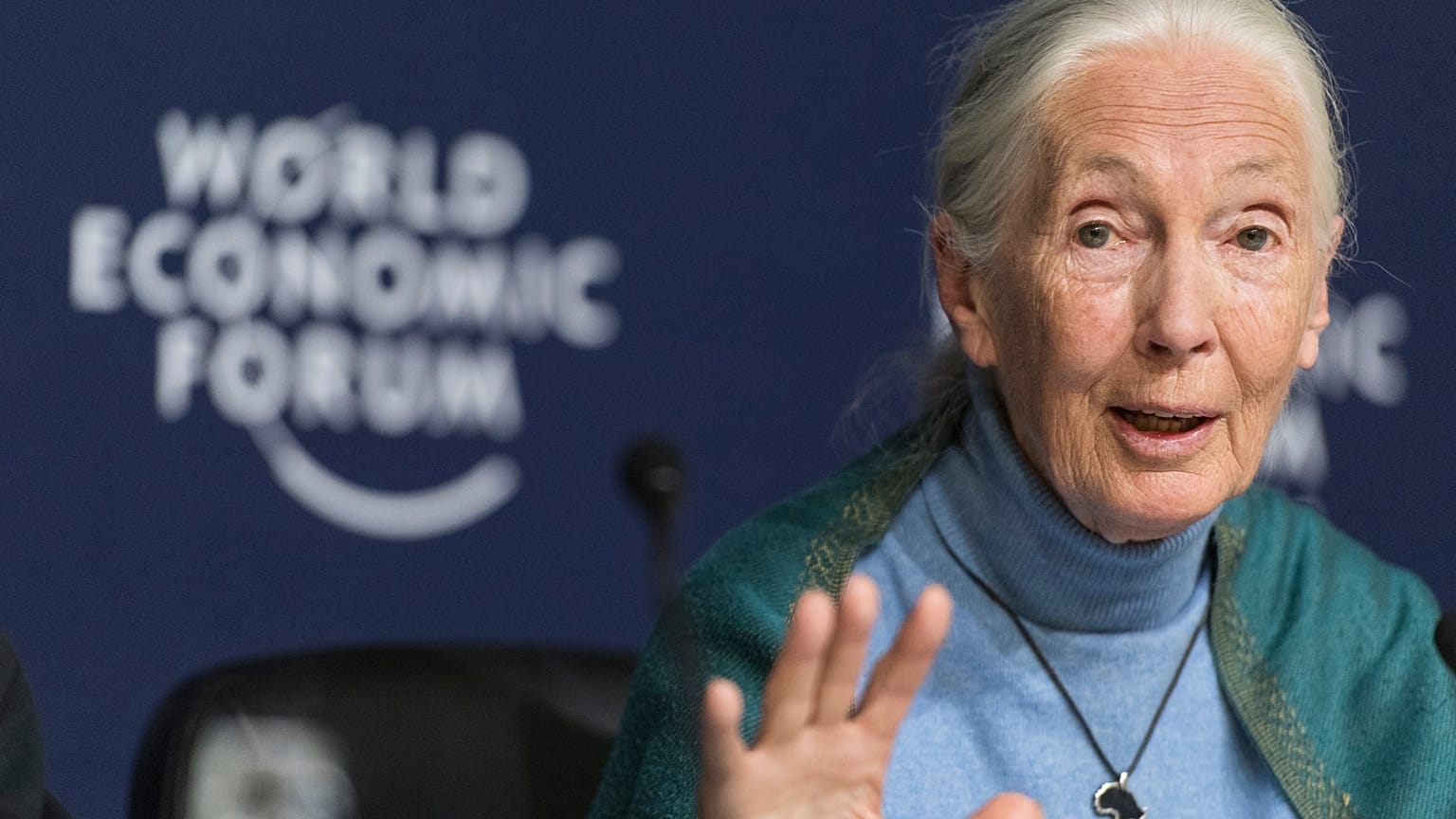 Jane Goodall, English primatologist and anthropologist, addresses the media during a press conference as part of the 50th annual meeting of the World Economic Forum (WEF)