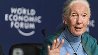 Jane Goodall, English primatologist and anthropologist, addresses the media during a press conference as part of the 50th annual meeting of the World Economic Forum (WEF)