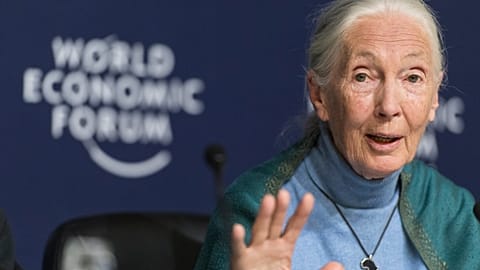 Jane Goodall, English primatologist and anthropologist, addresses the media during a press conference as part of the 50th annual meeting of the World Economic Forum (WEF)
