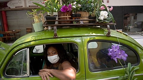 Roberta Machado und der grüne Blumenkäfer