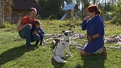 Белоснежный лис по кличке Пломбир