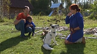 Белоснежный лис по кличке Пломбир