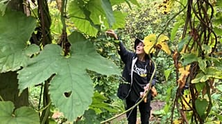 Londres torna selva de betão mais verde