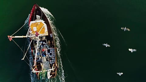 A fishing trawler brings its catch into port.