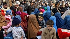 عکس تزئینی است