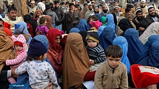 عکس تزئینی است