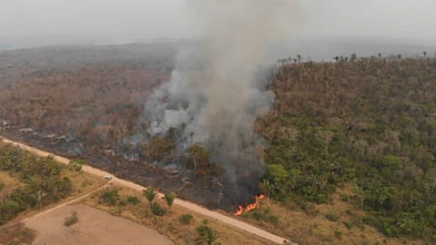 Indigenous Amazonians fighting for lives say battle for rainforest involves whole world 