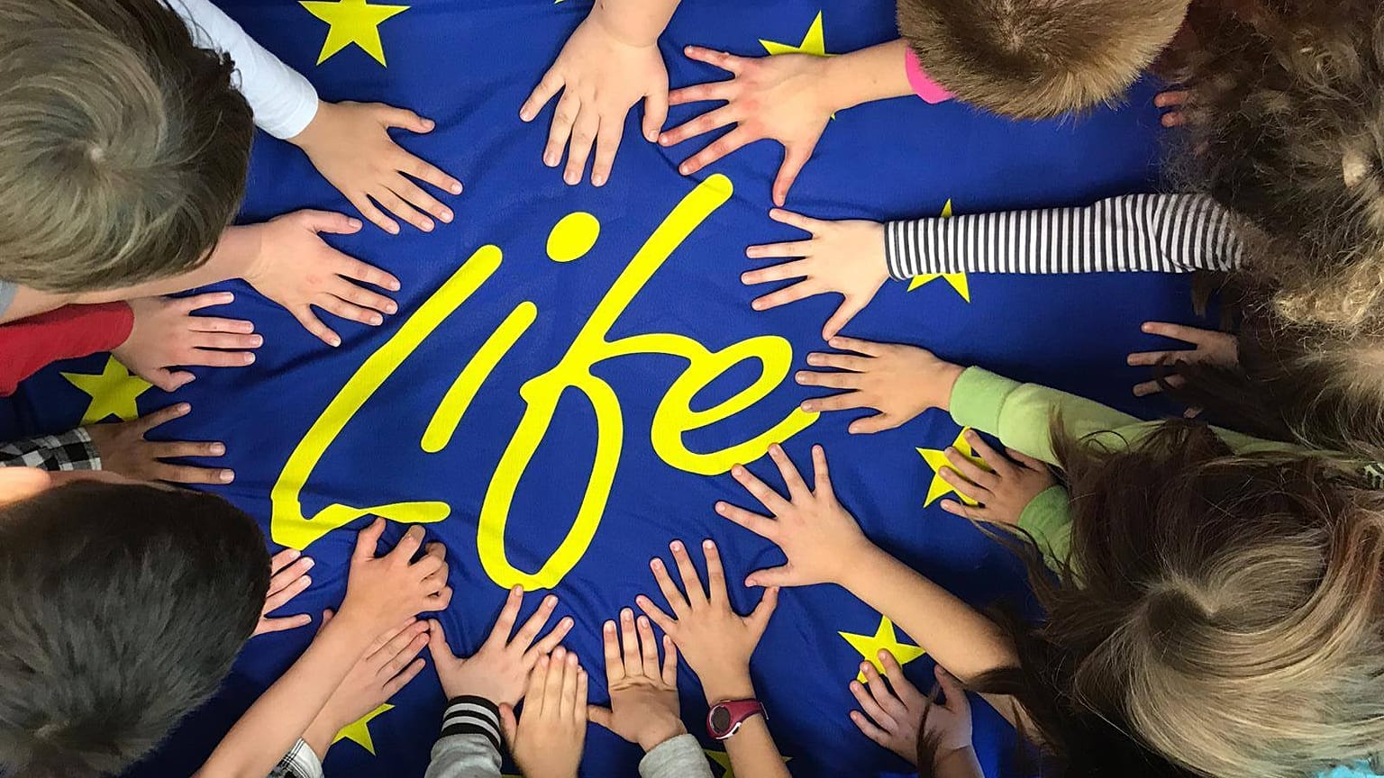 euronews