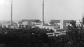 Первая атомная электростанция Болгарии, 1981 год
