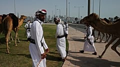 Corridas de camelos estão de regresso ao Catar