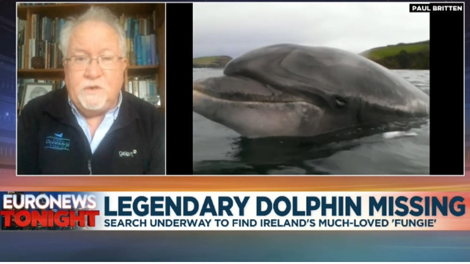 Dr Kevin Flannery, director of Dingle Oceanworld Aquarium in Dingle Harbour, speaking to Euronews Tonight