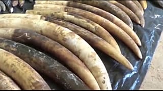 من الحمولة المهربة