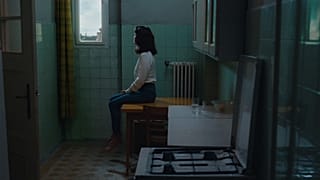 Az idén 56. alkalommal megrendezett Chicagói Nemzetközi Filmfesztivál pénteki záróünnepségén Gold Hugo-díjat kapott Horvát Lili új filmje