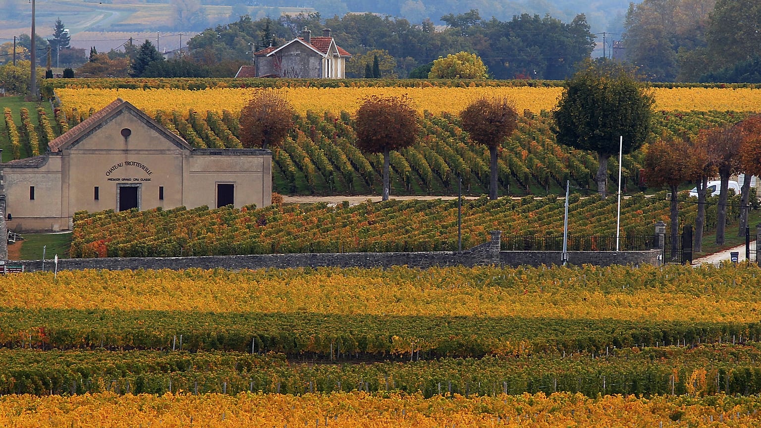 Vigne di Saint Emilion (Bordeaux) - archivio, 2015