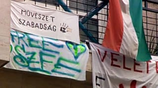 Molinók a budapesti Színház- és Filmművészeti Egyetem bejárata fölött