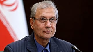 علی ربیعی، سخنگوی دولت ایران