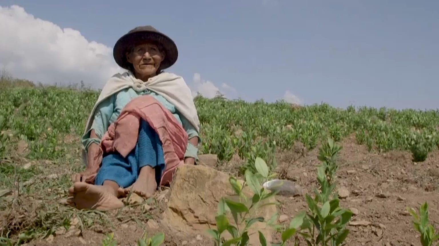 Campesina en una plantación de hoja de coca en Los Yungas, Bolivia