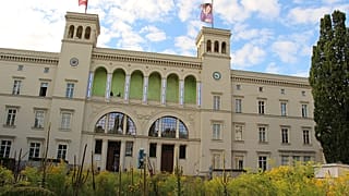 "Autorretratos como um clone de Joana D'Arc"