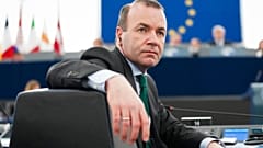 Manfred Weber