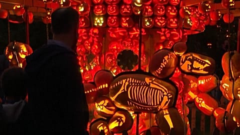 Zu Halloween reitet der kopflose Reiter