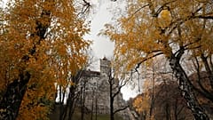 "Dracula"-Schloss: Covid-19, der Horror