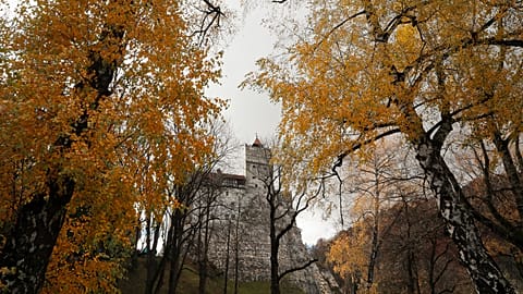 COVID-19 scares visitors away from Dracula's Castle this Halloween