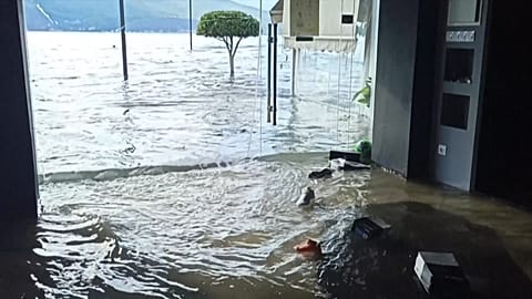 Samos Mini-tsunami 
