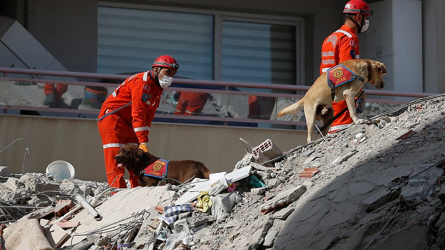 Members of rescue services with sniffer dogs search in the debris of a collapsed building for survivors in Izmir, Turkey, Sunday, Nov. 1, 2020. 
