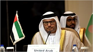 أنور قرقاش