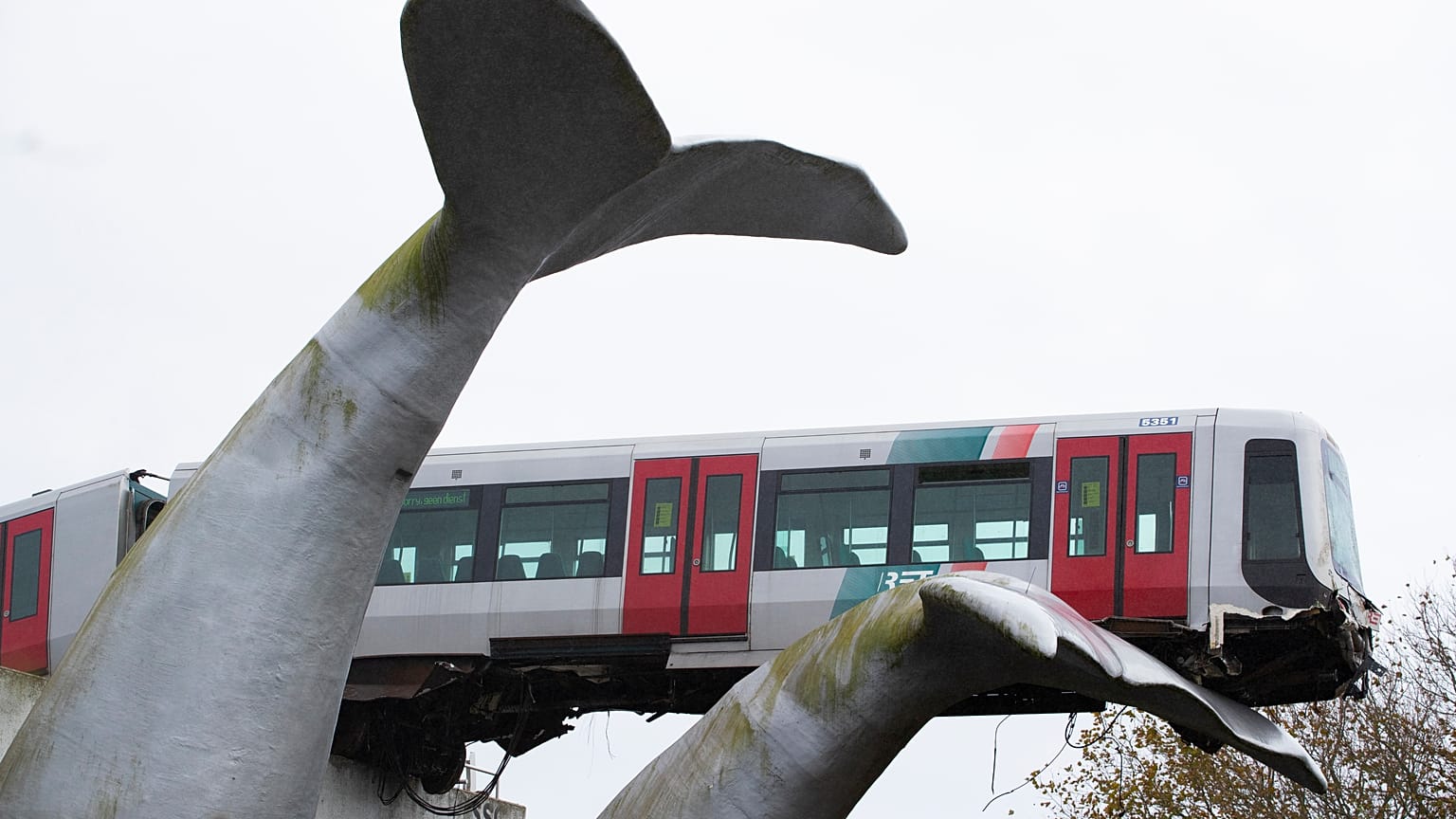 Netherlands Metro Whale