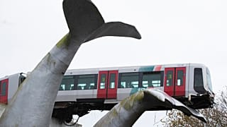 Netherlands Metro Whale
