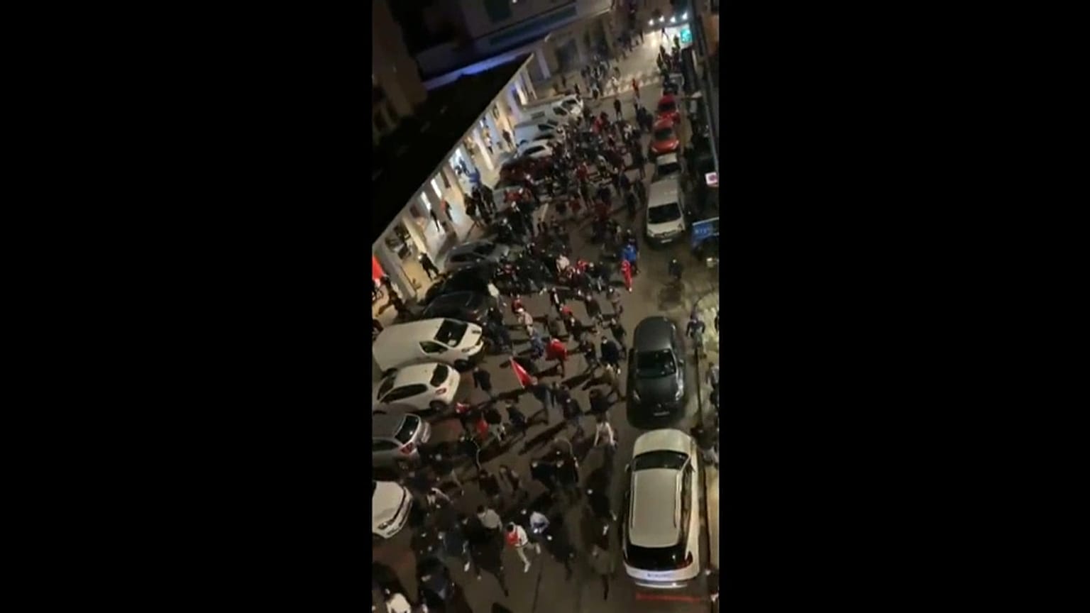 Défilé de Loups gris à Vienne