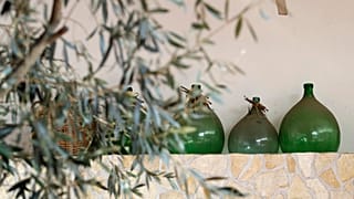La crisi dell'extravergine e gli effetti della pandemia