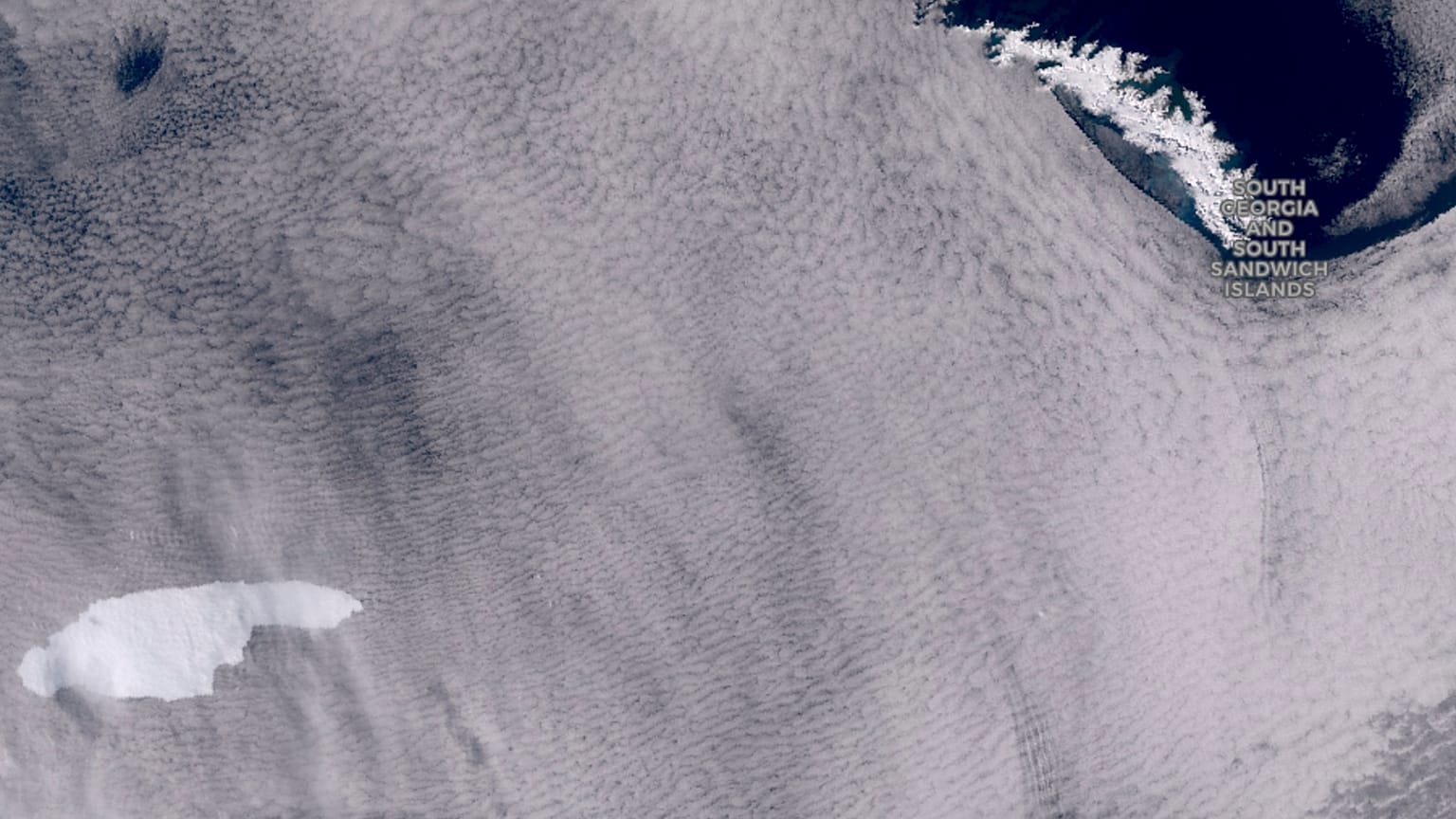 A satelite image showing the iceberg floating towards the sub-Antarctic island of South Georgia.