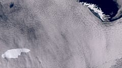 A satelite image showing the iceberg floating towards the sub-Antarctic island of South Georgia.