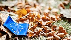 Dead leaves on the grass with the European flag