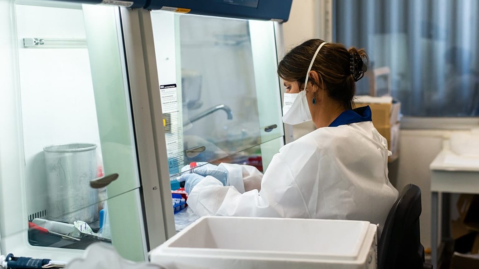 Ricerca all'Istituto Pasteur